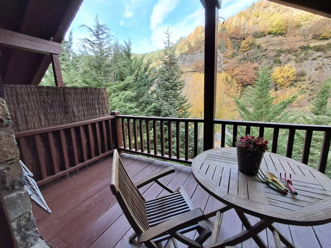 2-bedroom flat for rent in La Massana · 38 of 60