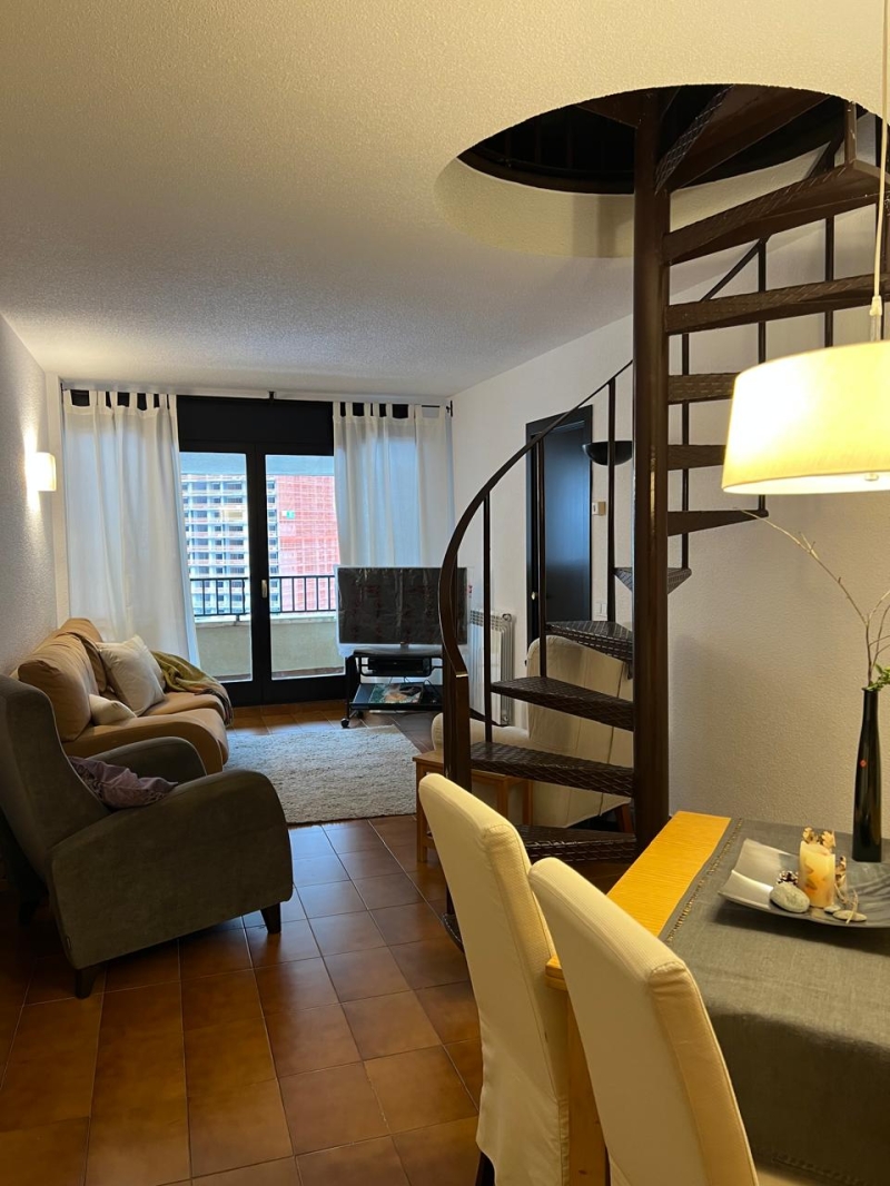4-bedroom penthouse for rent in Andorra la Vella · 55 of 60