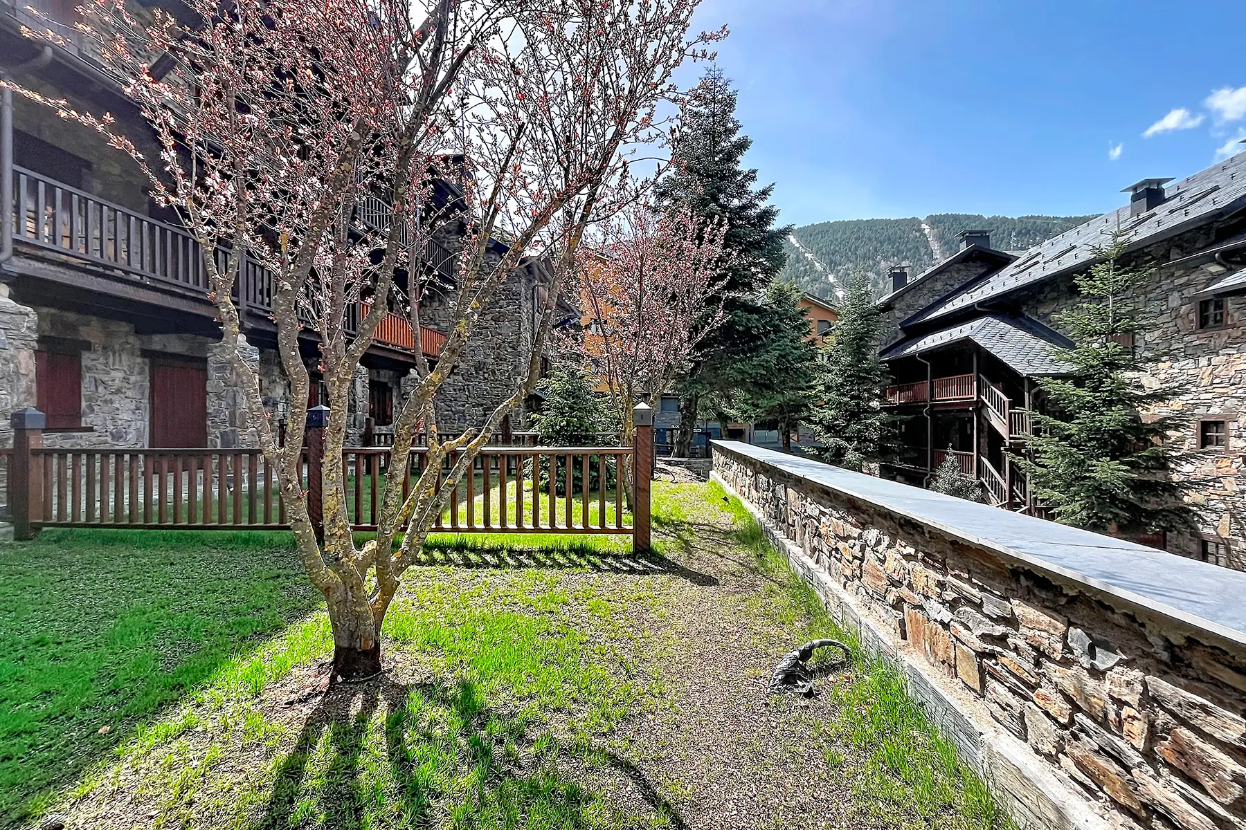 1-bedroom flat for rent in El Tarter, Canillo · 23 of 60