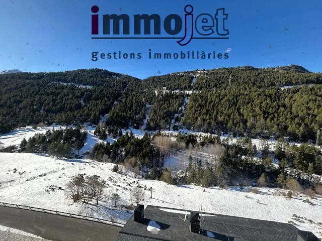 2-bedroom flat seasonal rent in Canillo · 14 of 14