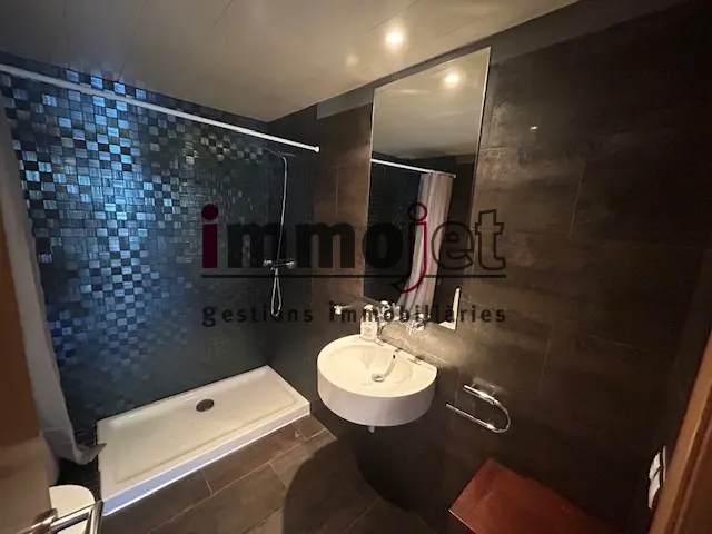 2-bedroom flat seasonal rent in Canillo · 11 of 14